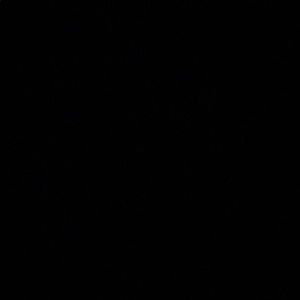 Meet your Posher, Ashlynn